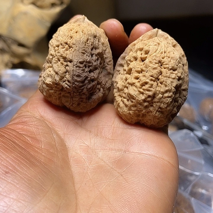 把件文玩核桃云南铁核桃基地54