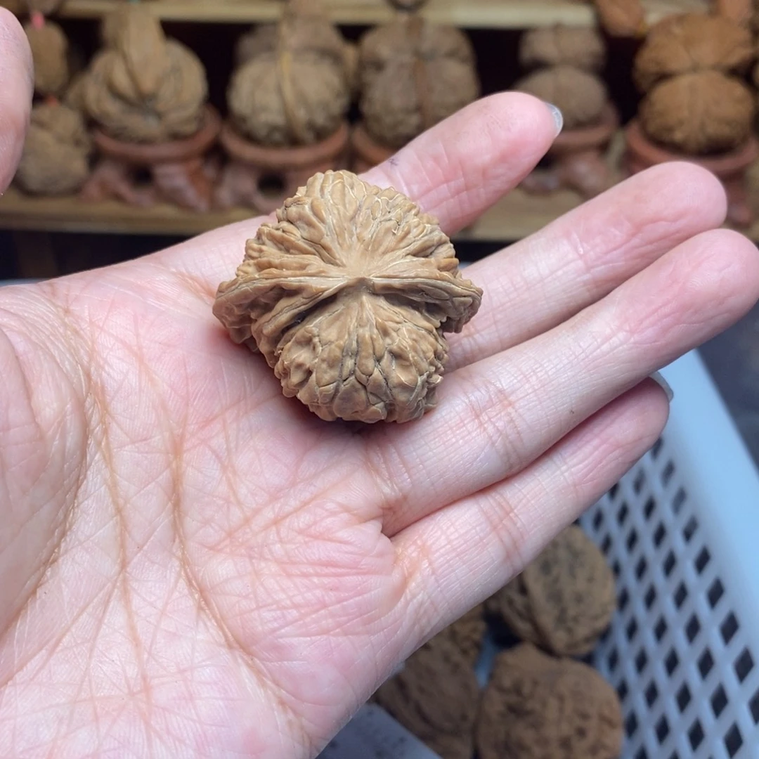 大***闪把件文玩核桃尺寸