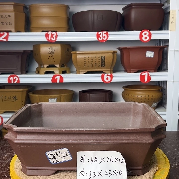 花盆紫砂蛇年大吉