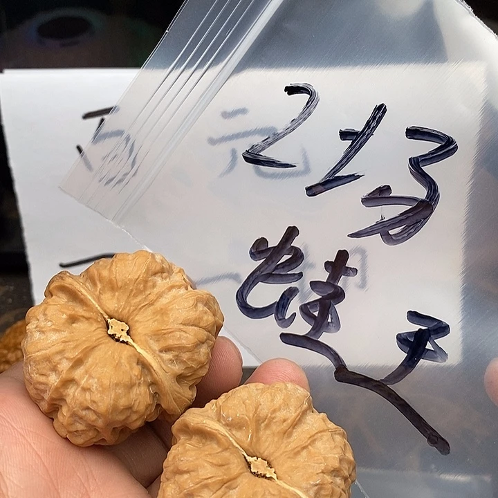 吊坠文玩核桃W49664996496649964