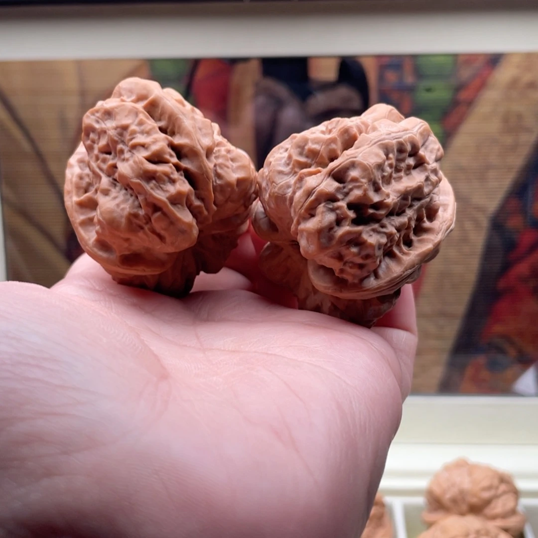 木质类41肌肉开背放漏