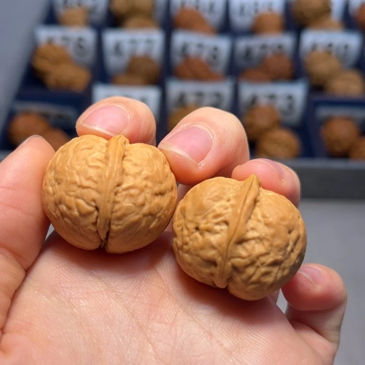 文玩核桃把件天启500