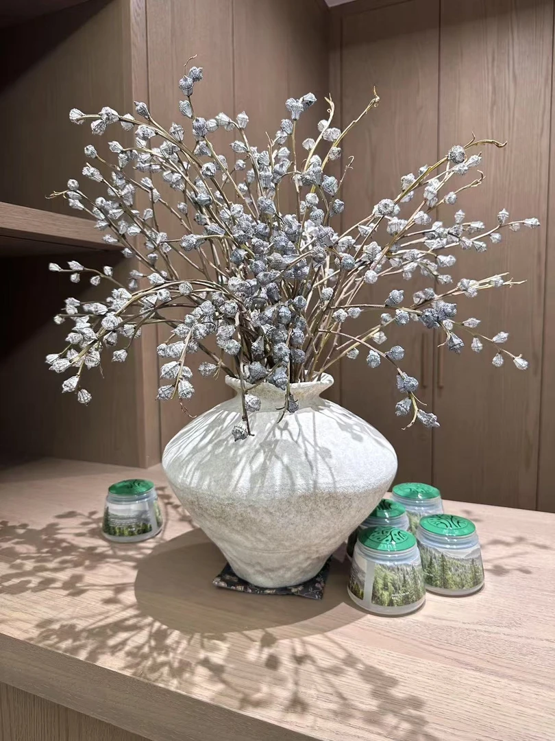 尤加利新果可做干花云南基地直发