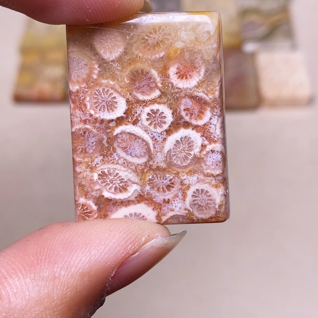 c***兔硅化玉合金珊瑚玉