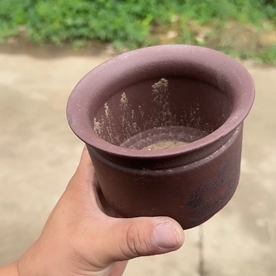 这一期太有意思咯嘛啊太