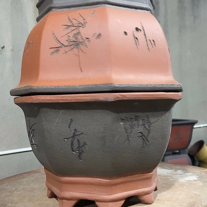 27盆花盆花盆花盆花盆花盆花