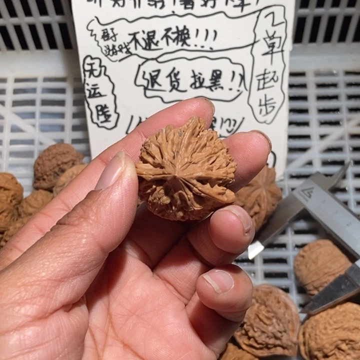 大***神核桃三棱尺寸36全品