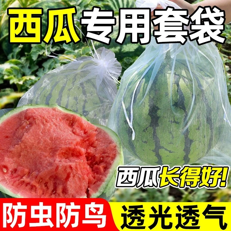 【低价处理】西瓜专用套袋防虫防鸟果袋好物不积水透气透光防虫套袋