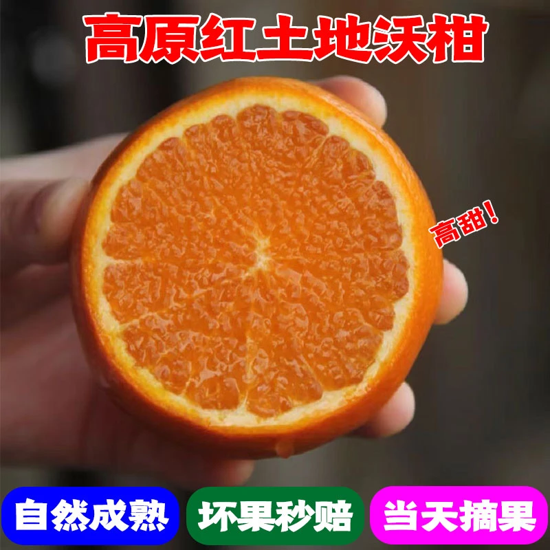 【清园】沃柑新鲜水果直播应季橙子粑粑柑桔子皇帝柑橘子砂糖桔脐橙