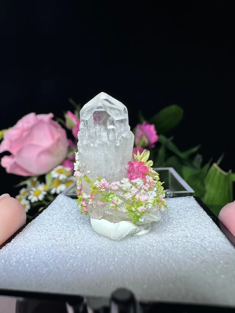 桌面摆件礼物小花园