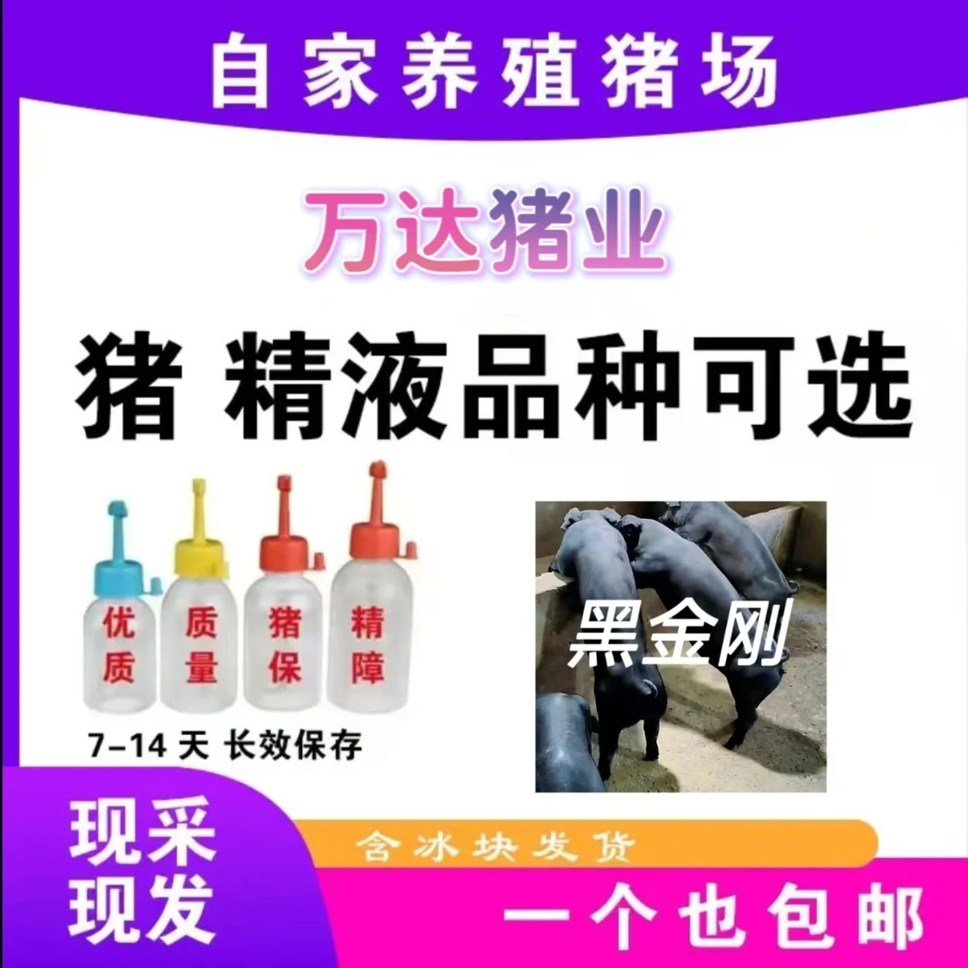 精品黑金刚种公精液一件包邮包对版生态养殖批发输精管猪用耗材