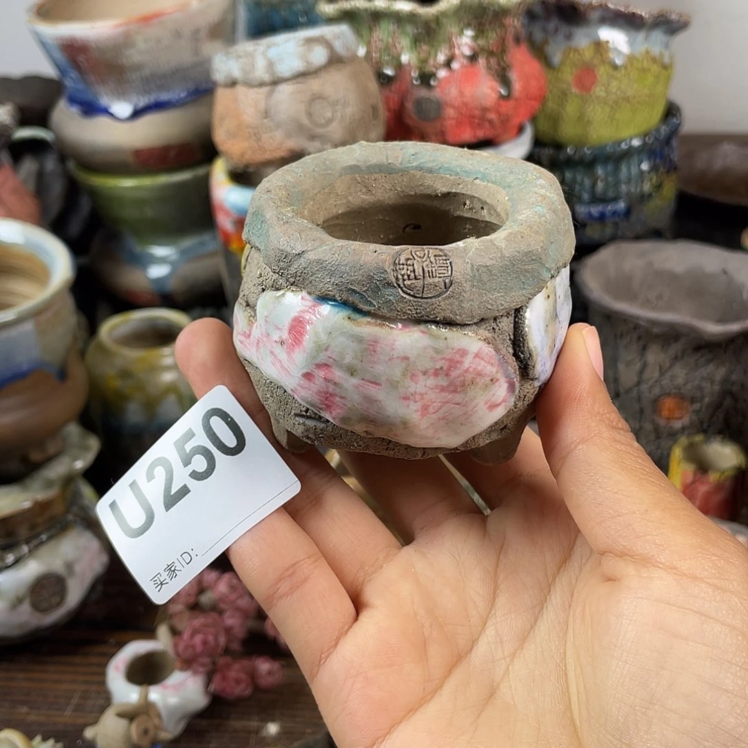 默认微次 跨年福利 坛子姐花盆