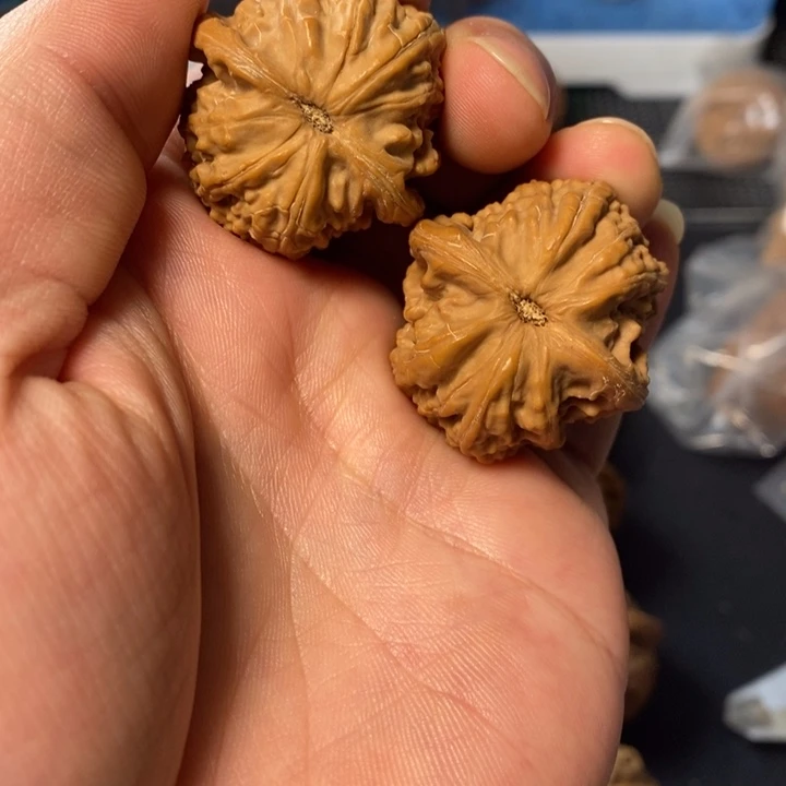 桃核把件566655666