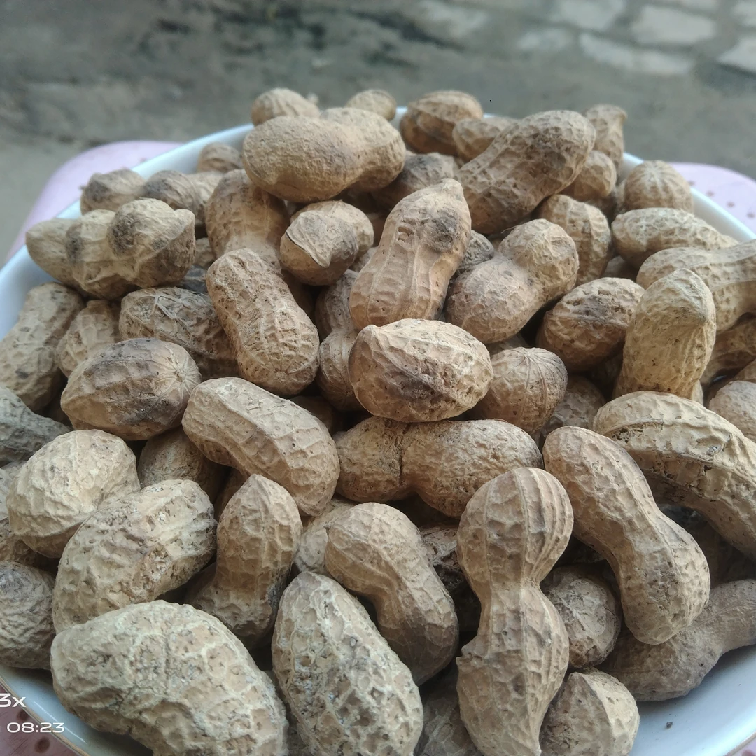 农家铁锅柴火炒花生原味，花生下酒花生零食。