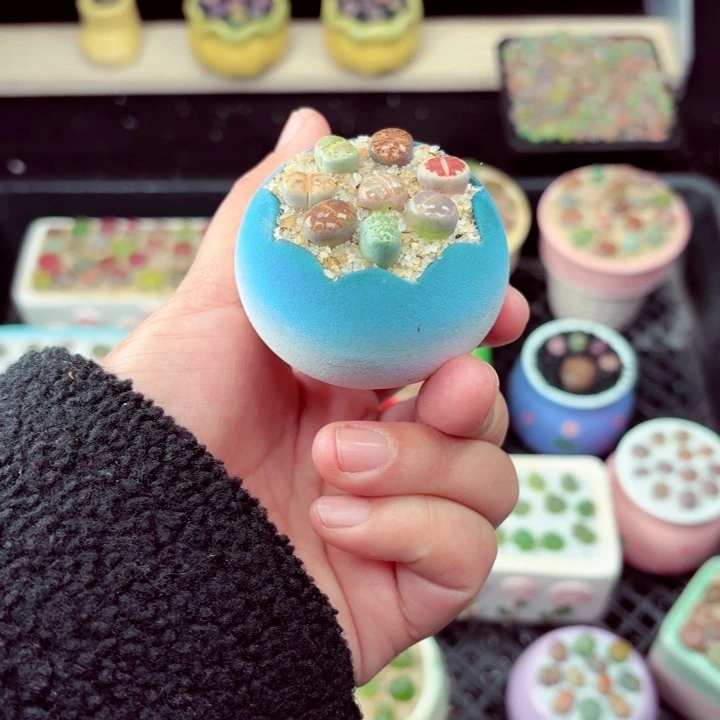 540零下地区记得拍保温箱满18包邮