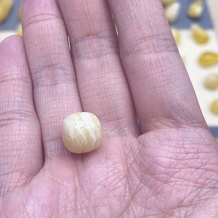 琥珀裸石未镶嵌微瑕