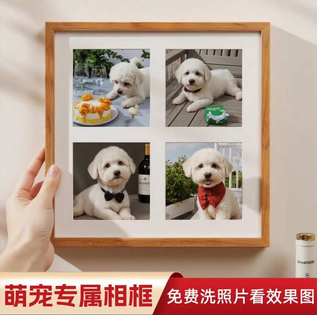 宠物成长纪念相框可DIY定制创意礼品