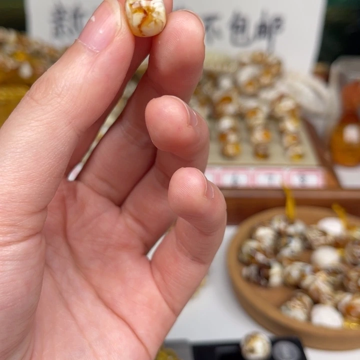 未镶嵌琥珀裸石一**雀46号