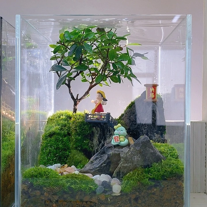 无花朵小叶微景观