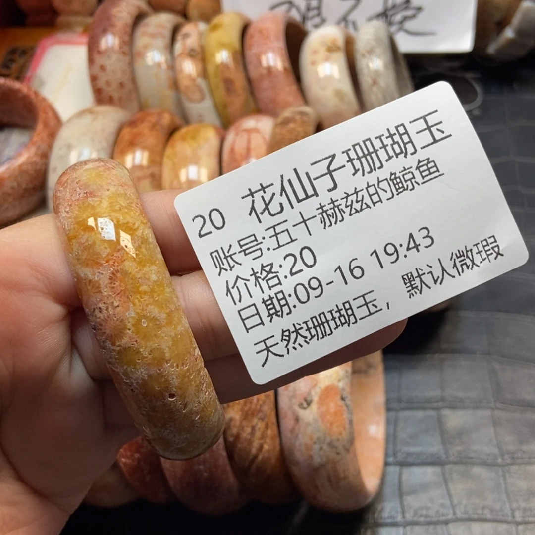 五***鱼未镶嵌硅化珊瑚（珊瑚玉）珠宝半成品20