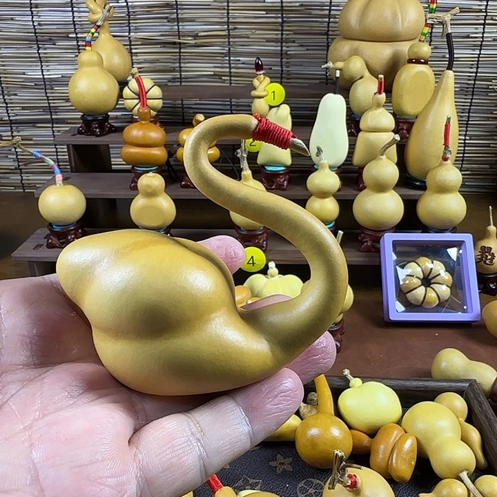 相***周葫芦哈哈哈哈哈哈哈