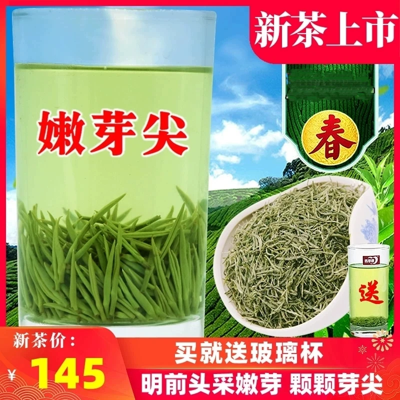 2025新茶雨前毛尖嫩芽茶叶浓香型耐泡手工春茶500g罐装信阳毛尖