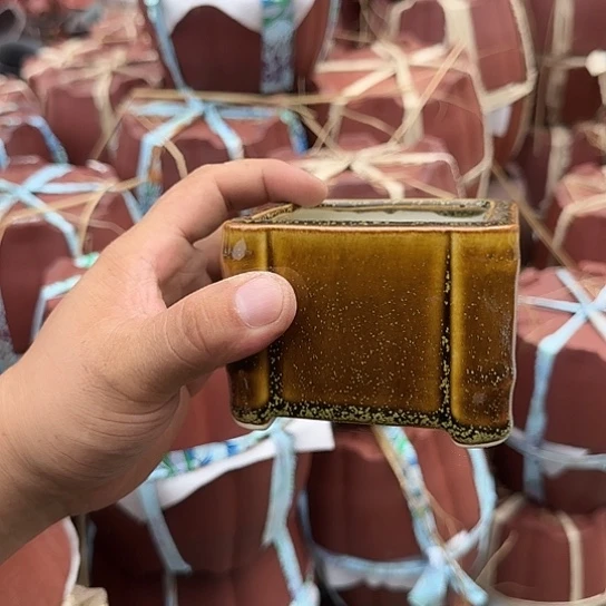 不去看书啊哈在寝室呢不来