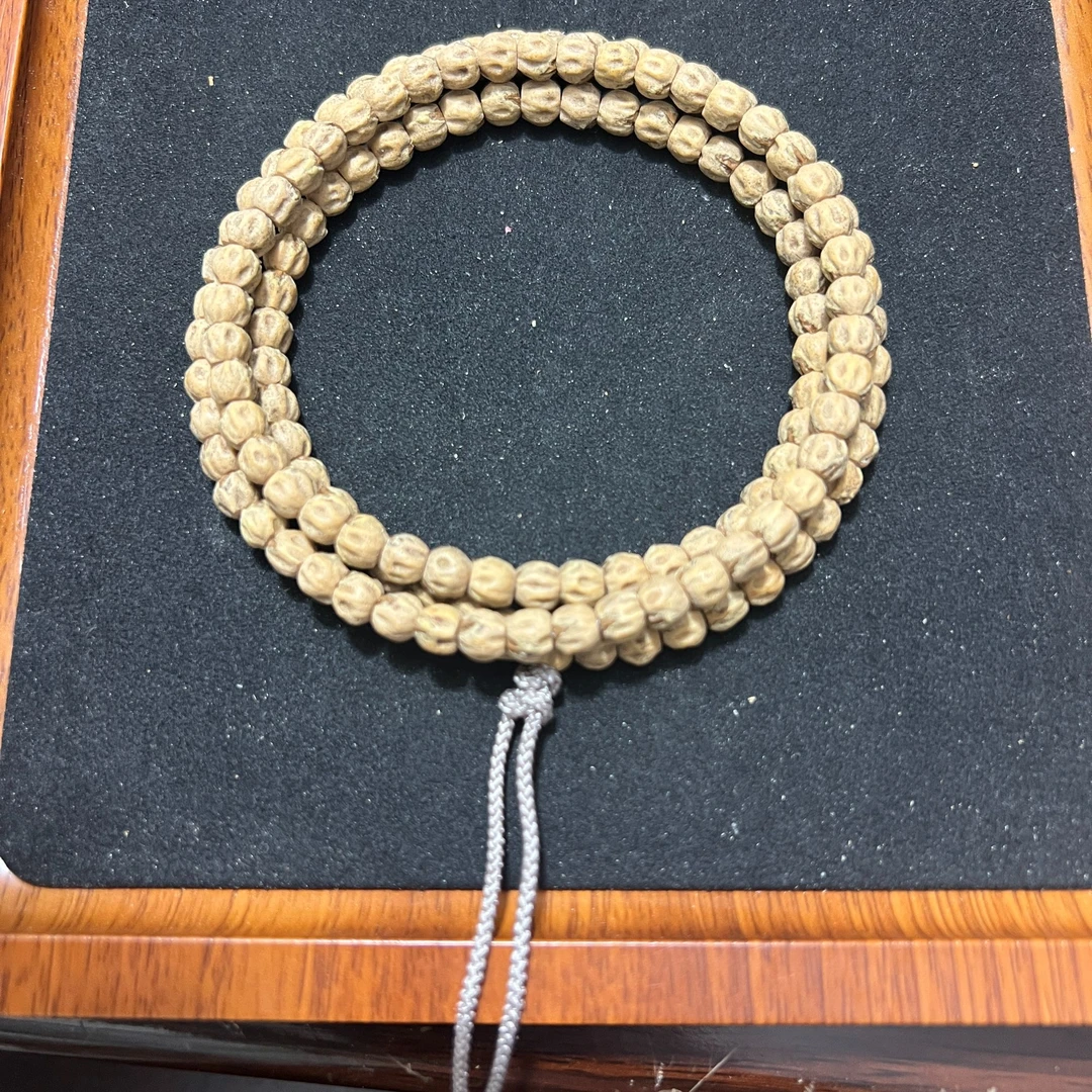 热振柏香籽小金豆