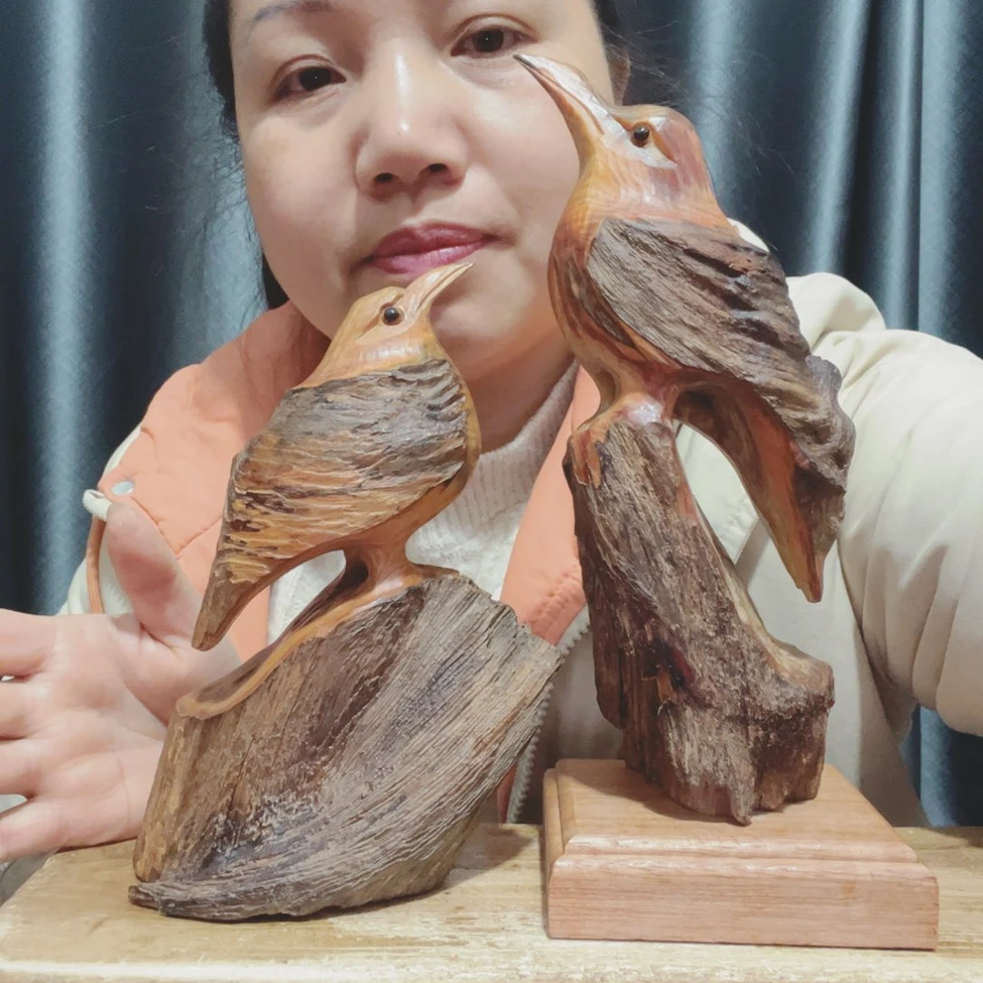 胖***猫百年树的生长环境