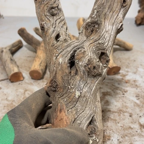 大果紫檀（缅甸花梨）鼎****场