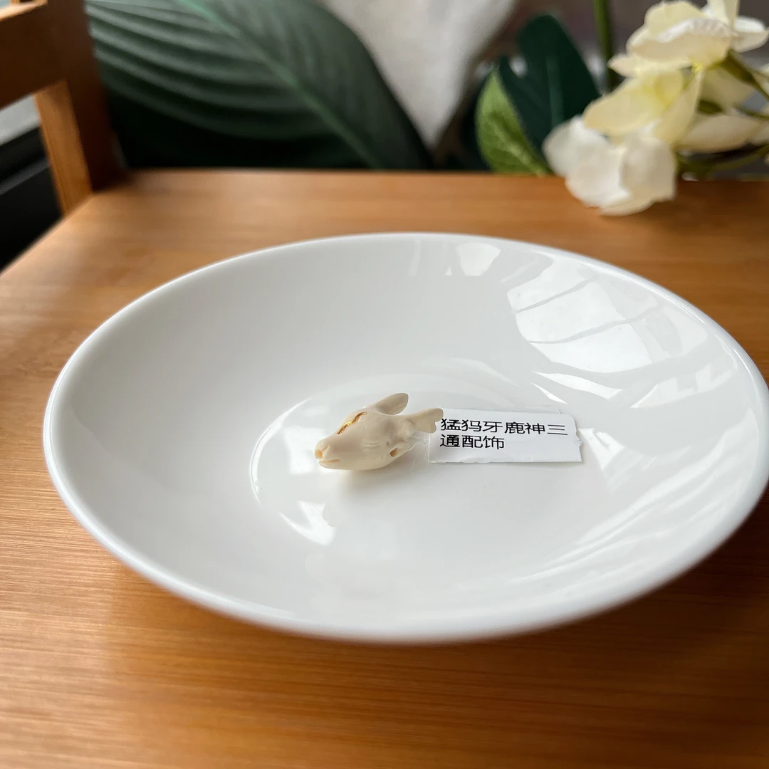 【郭老师】约23*11mm猛犸牙鹿三通配饰