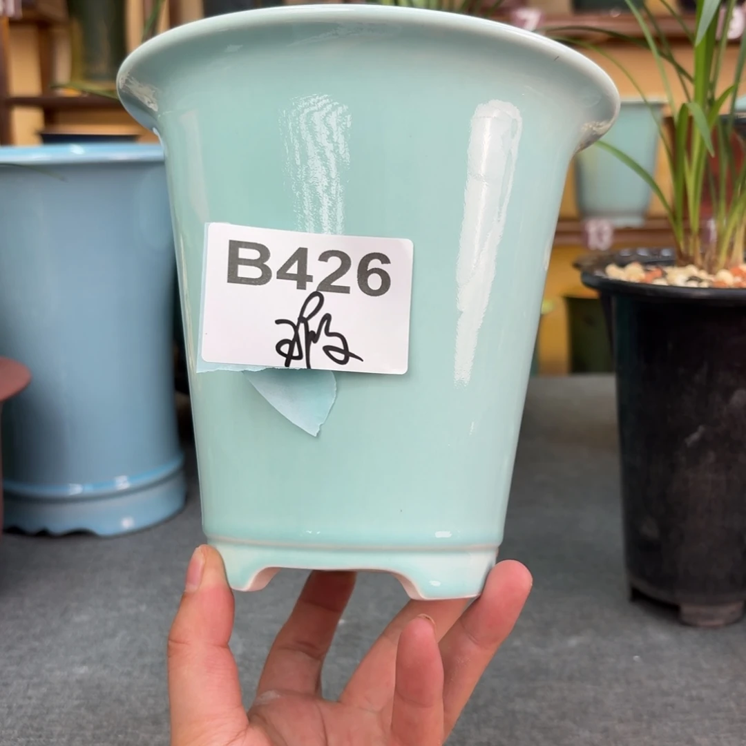 杨***顺紫砂花盆兰花4698888986889