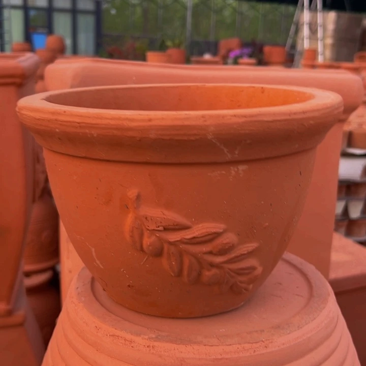 25×17 橄榄枝微瑕