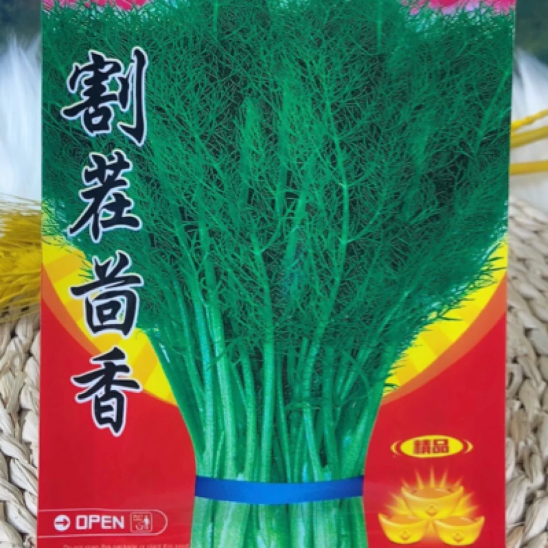 美味割茬茴香种子