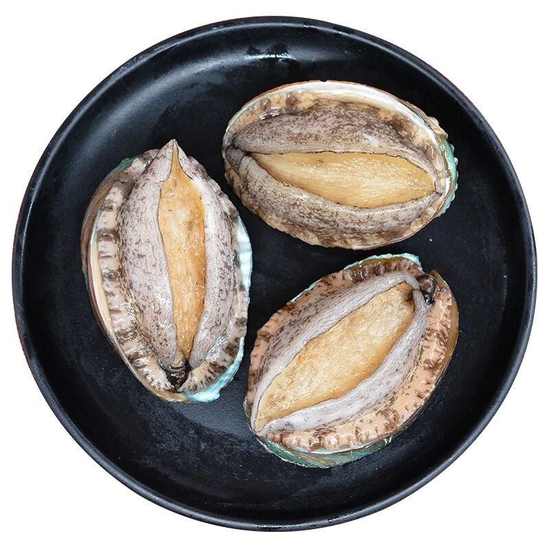 连江鲍鱼 约20g~30g/只