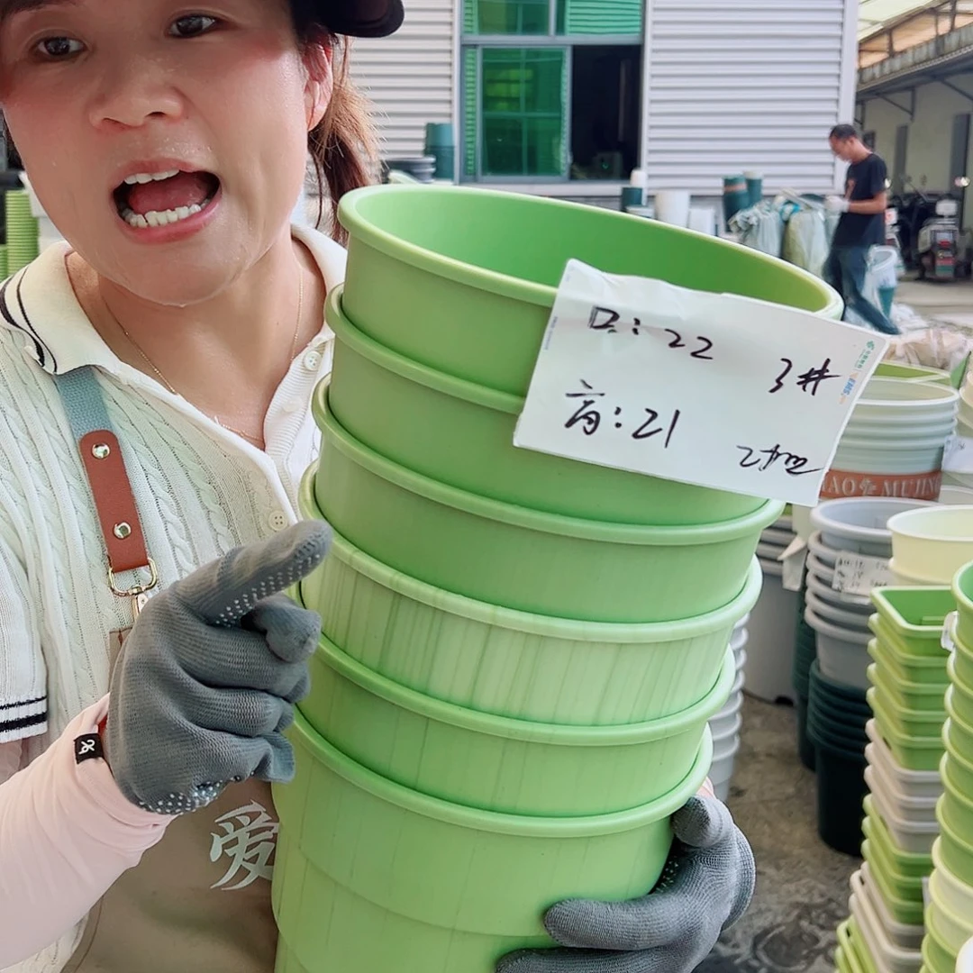 瑕疵多孔3#果绿色6个无托