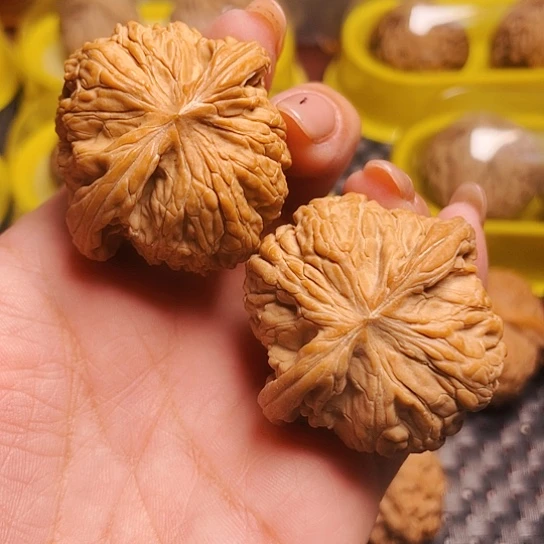 文玩核桃磨盘狮子头41尺