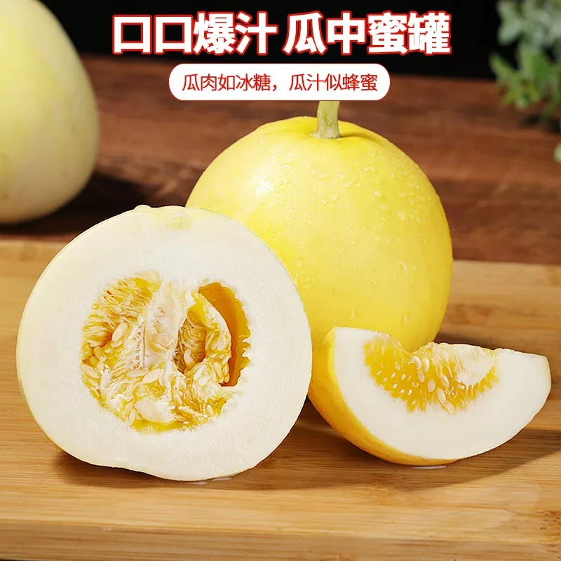 小蜜蜂蜜罐甜瓜甜脆黄金蜜罐当季新鲜水果蜜瓜5.5斤毛重