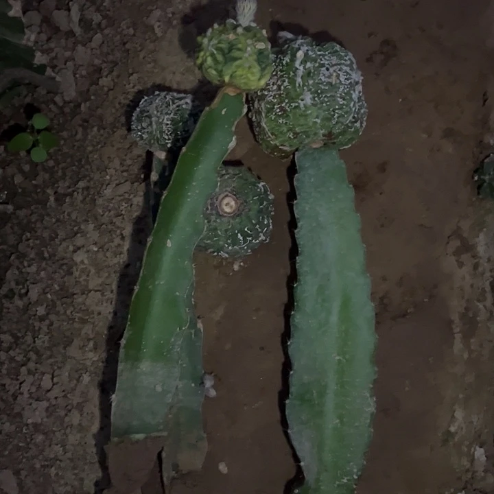 骗***子哈哈哈哈哈哈哈哈哈哈