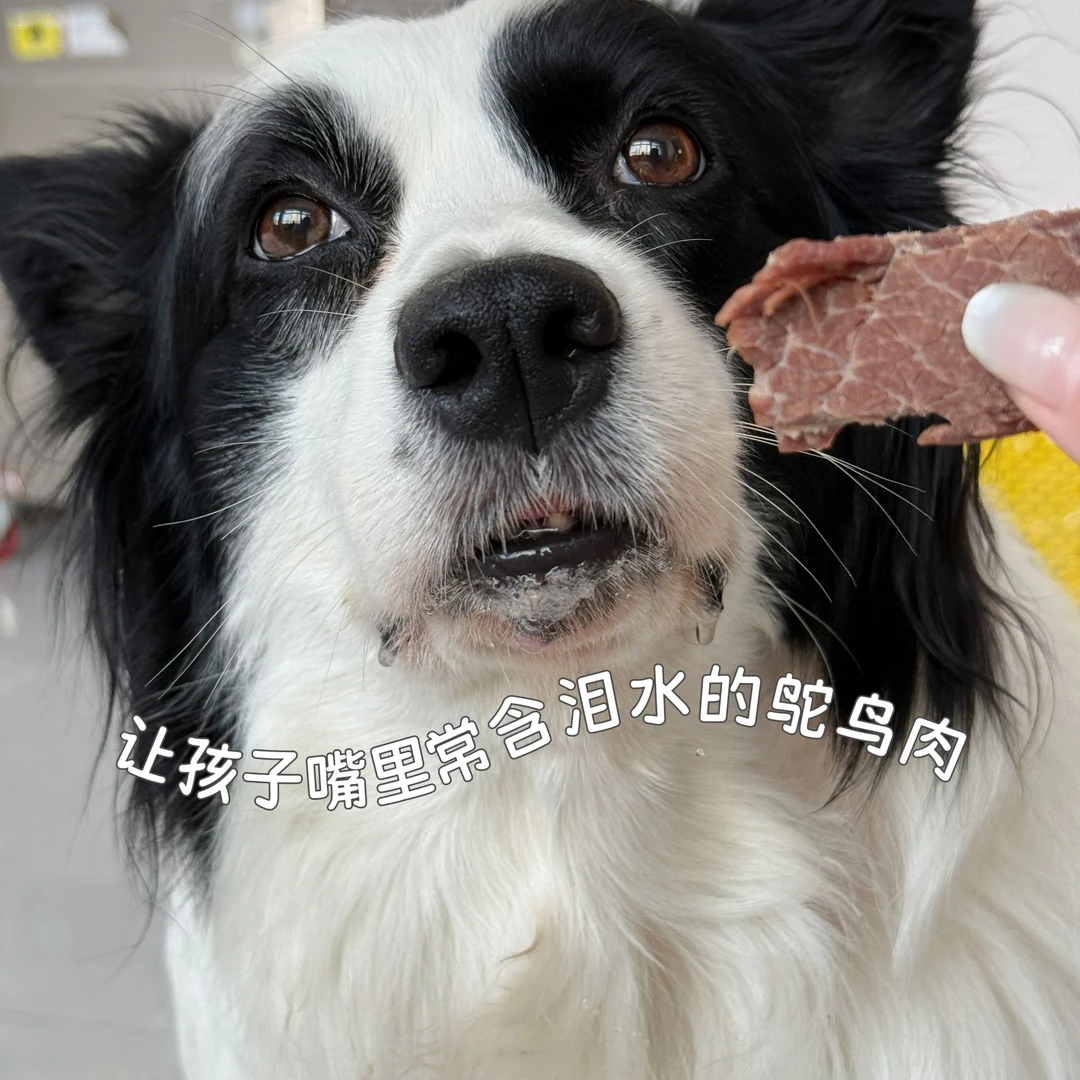 蒸煮鸵鸟肉块猫狗日常加餐 开袋即食 宠物零食