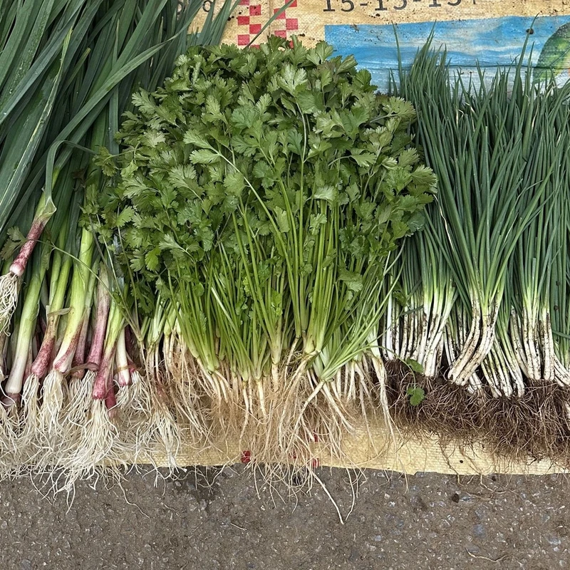 顺丰包邮-贵州小香葱 葱蒜香菜贵州火锅新鲜蔬菜组合