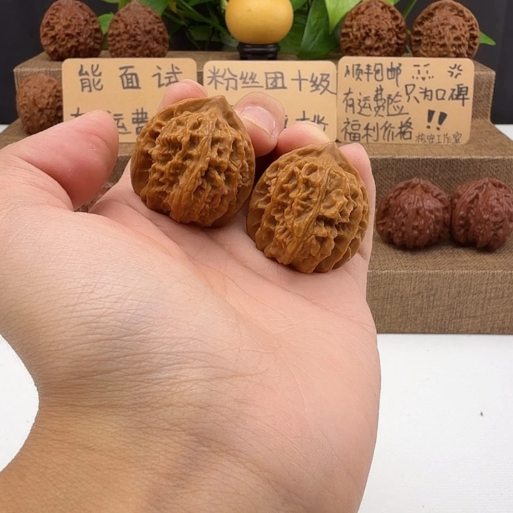 全品独家品种红龙33/34/35