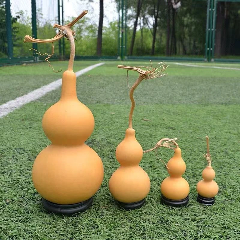 自己种植天然葫芦选品链接