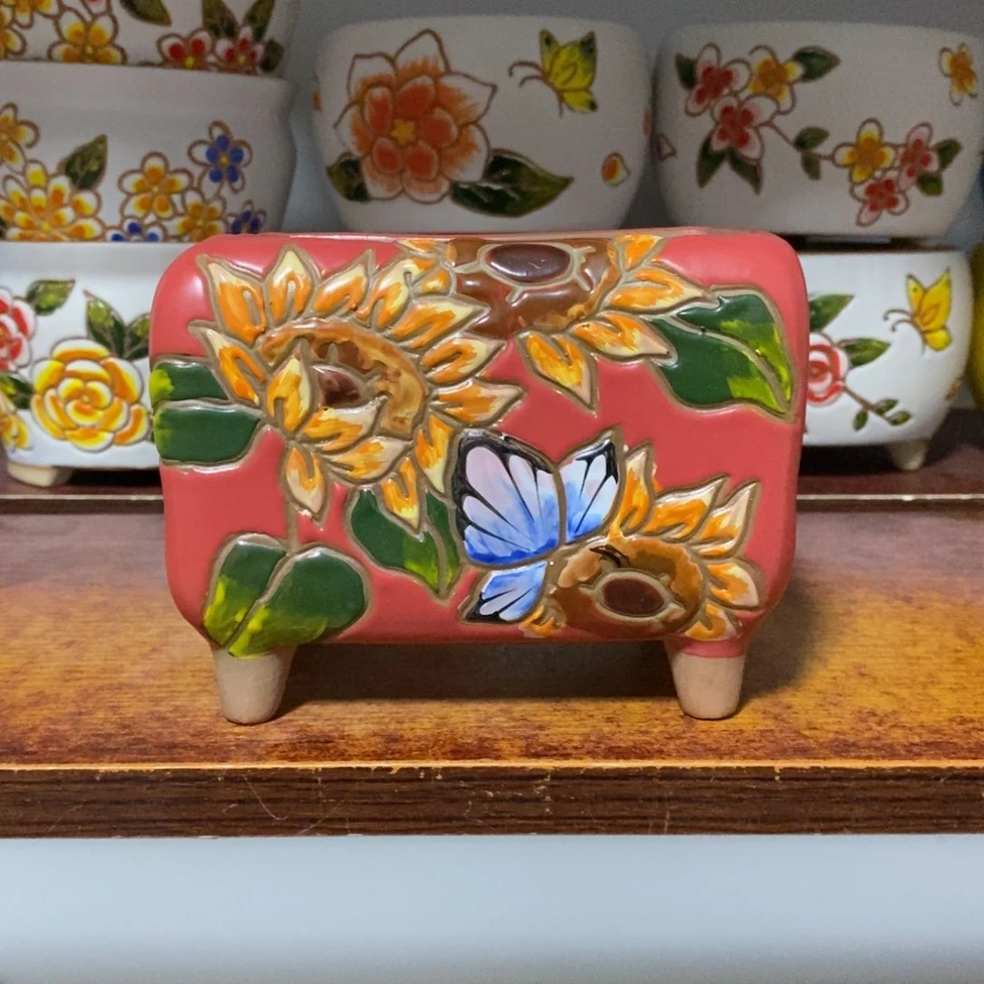 韩式多肉植物花盆