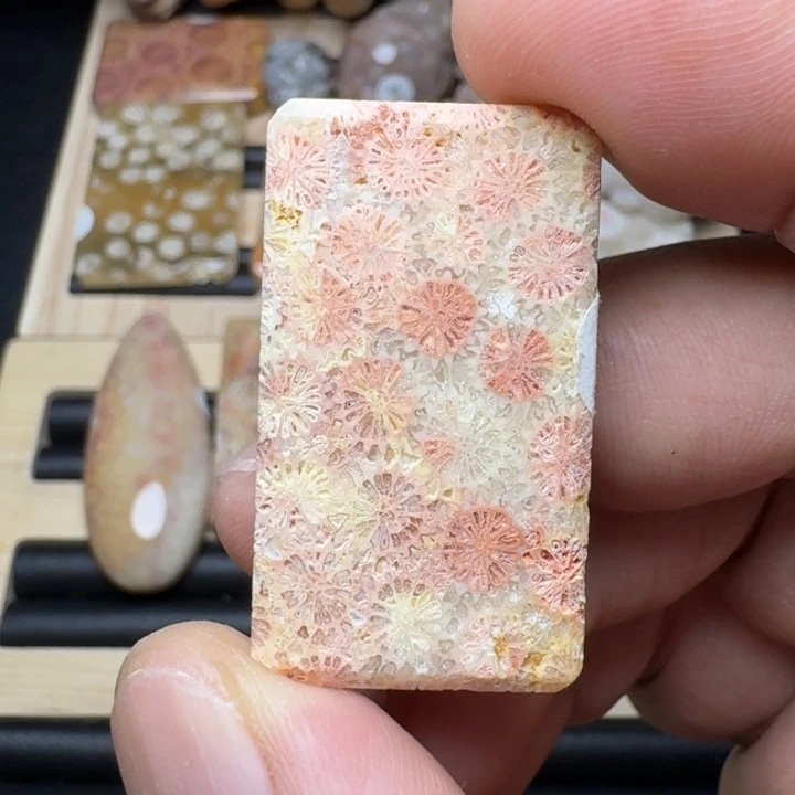 硅化珊瑚（珊瑚玉）未镶嵌纯天然色有机玉石保真色