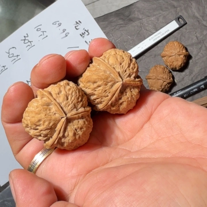 文玩核桃吊坠铁5号元宝三棱