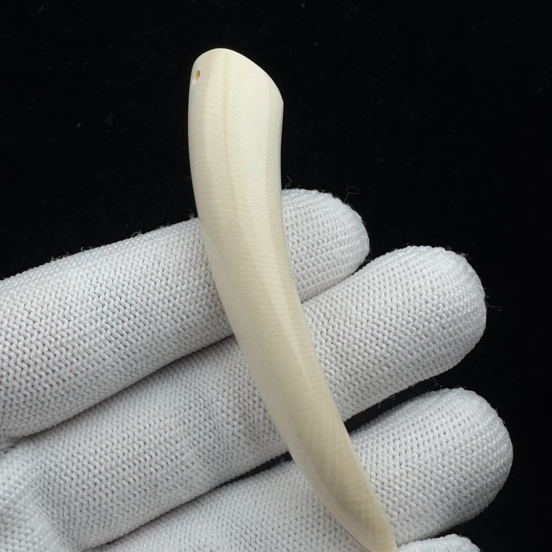 L2736天然猛犸牙 牙尖74mm支持鉴定 假一罚四