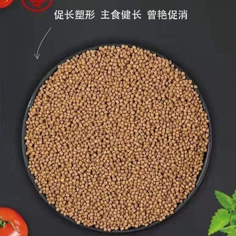 锦鲤专用饲料