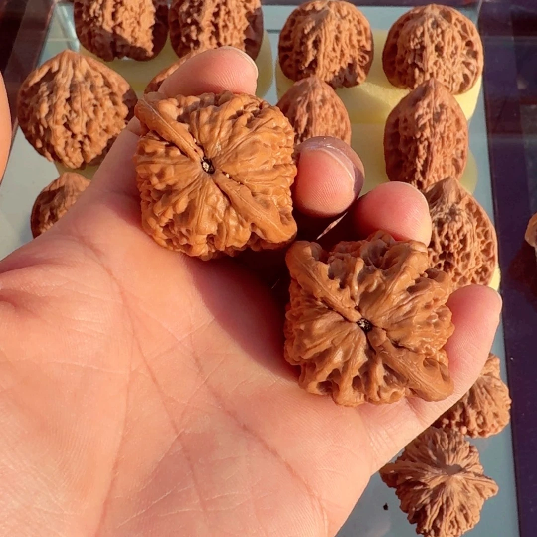 篇***逢核桃文玩核桃金公子45