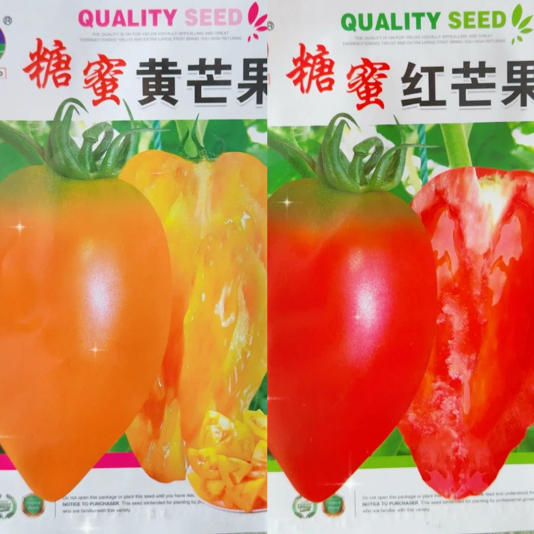 jj糖蜜芒果柿子今年新种今年新种